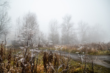 Similar image 21484931