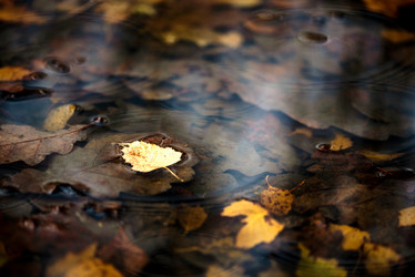 Similar image 21483111