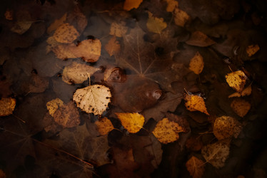 Similar image 21483112