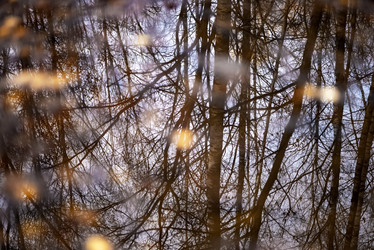 Similar image 21483118