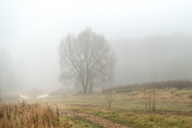 Similar image 21486825