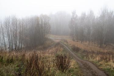 Similar image 21483121