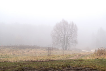 Similar image 21483123