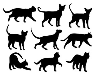 Similar image 21498803