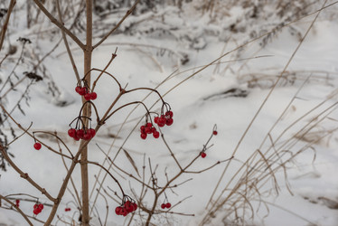 Similar image 21483158