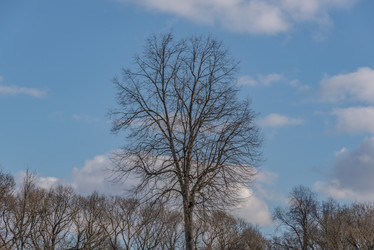 Similar image 21483175