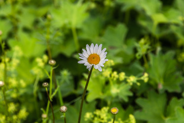 Similar image 21483176