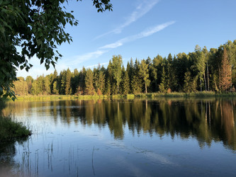 Similar image 21482809