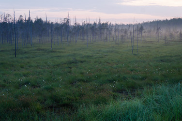 Similar image 21482815