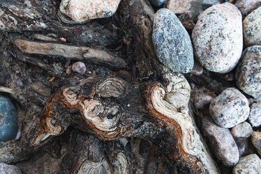 Similar image 21482817