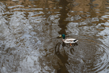 Similar image 21482818