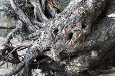 Similar image 21482819