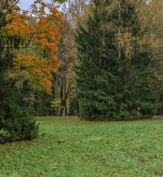 Similar image 21483188