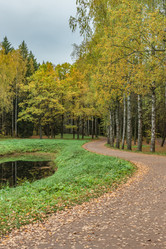 Similar image 21483190