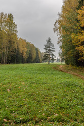 Similar image 21483192