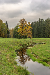 Similar image 21483198