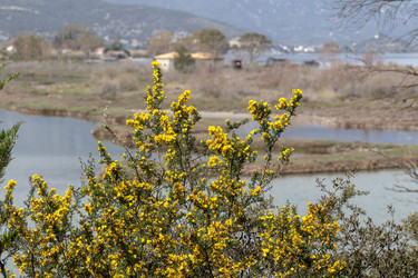 Similar image 21486529