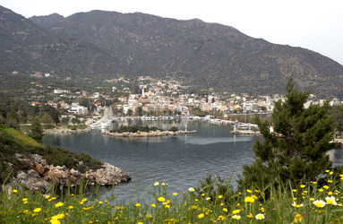 Similar image 21495515