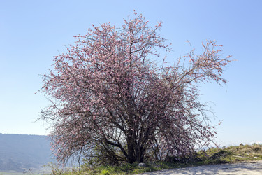 Similar image 21490992