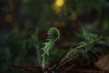 Similar image 21487722