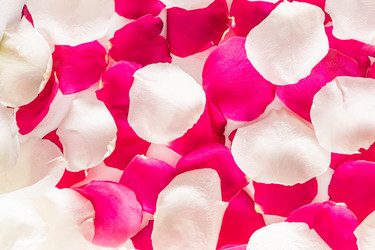 Similar image 21482659