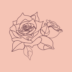 Similar image 21491690