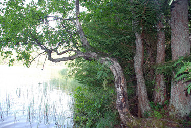 Similar image 21483228