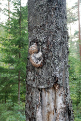 Similar image 21483231