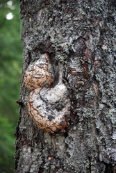 Similar image 21483232