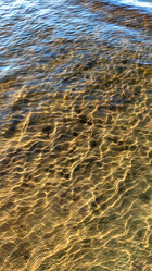 Similar image 21493866