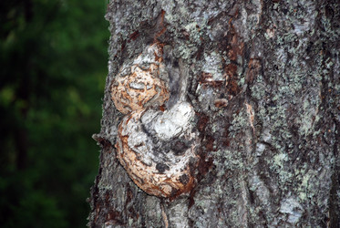 Similar image 21483233