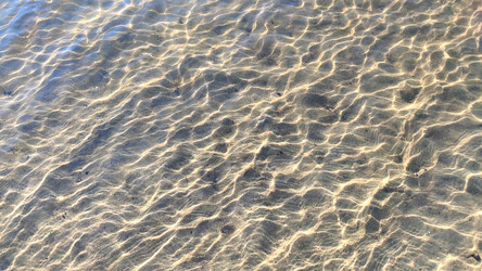 Similar image 21493867