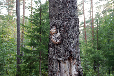 Similar image 21483234