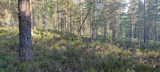 Similar image 21483237