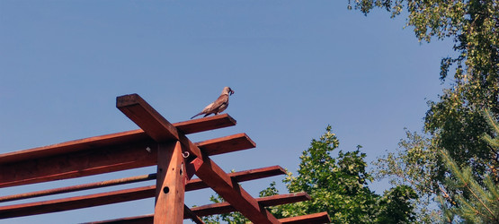 Similar image 21483238