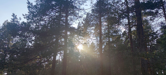 Similar image 21483239