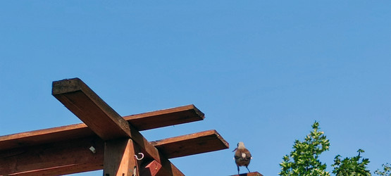 Similar image 21483240