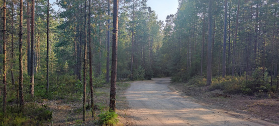 Similar image 21483241