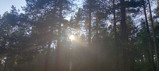 Similar image 21483242