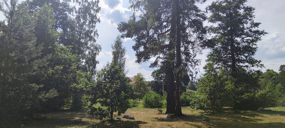 Similar image 21483245