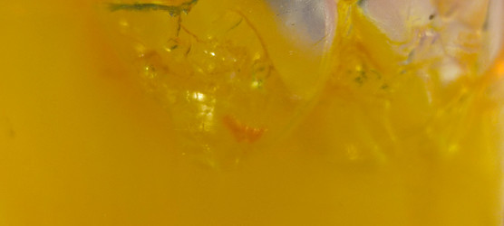 Similar image 21483249