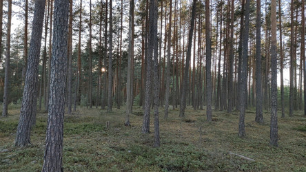 Similar image 21483254