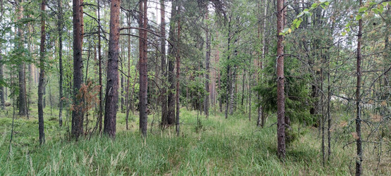 Similar image 21483256