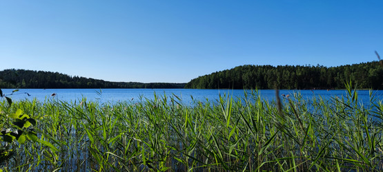 Similar image 21483264