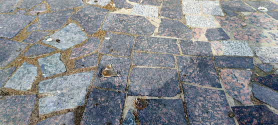 Similar image 21483279