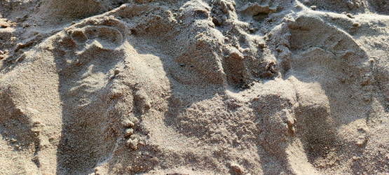 Similar image 21483283