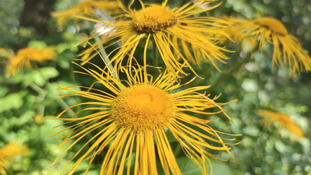 Similar image 21483288