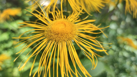 Similar image 21483290