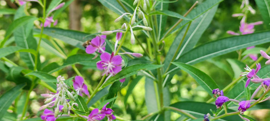 Similar image 21483292