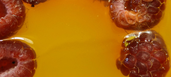 Similar image 21483296